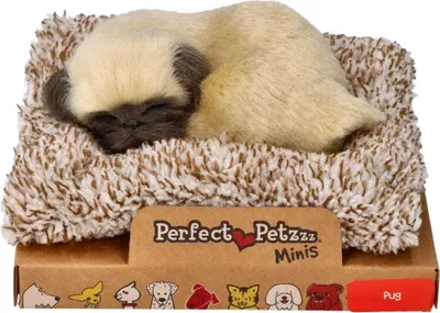 Produktbild von Kleiner Mops Welpe 13cm klein Perfect Petzzz