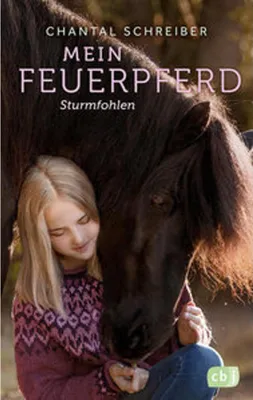 Image de Mein Feuerpferd - Sturmfohlen