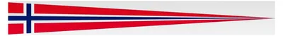 Produktbild von Wimpel Norwegen 80 g/m² ca. 30 x 150 cm