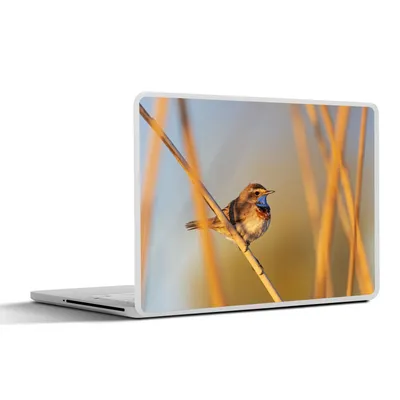 Produktbild von MuchoWow® Laptop Aufkleber Sticker Cover Vögel - Blaukehlchen - Schilf 32.5x23.5 cm - Sticker für Laptop - Selbstklebend