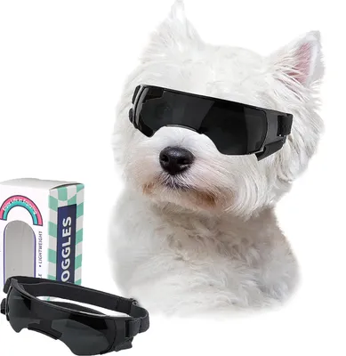 Produktbild von Hundeglas für kleine Rassen – UV-Schutz und Winddicht