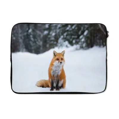 Produktbild von MuchoWow® Laptop Hülle 13 Zoll Fuchs - Schnee - Wald Laptoptasche - Laptophülle - Sleeve - Rundumschutz