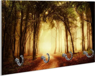 Produktbild von Wallario Handtuchhalter aus Glas, Motiv: Sonnenuntergang auf dem Waldweg, 30 x 20 cm mit 4 Haken