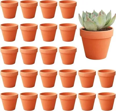 Produktbild von Töpfe Terrakotta Set 24 Stück Gartenpflanzen