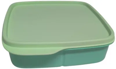 Image de Boîte à lunch Eco 550 ml avec séparateur, vert pastel