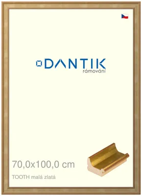 Obrázok produktu pre DANTIK rám 70x100 | TOOTH small gold (Plexi Clear)
