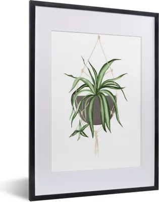 Produktbild von MuchoWow® MuchoWow® Gerahmtes Poster Pflanzen - Hängepflanze - Weiß 30x40 cm - Poster mit zchwarzem Bilderrahmen - Wandposter Schlafzimmer
