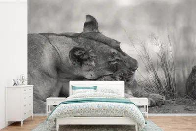Produktbild von MuchoWow® Fototapete für Wohnzimmer oder Schlafzimmer Wandtapete Vinyl Motivtapete Löwin - Jungtier - Schwarz - 600x400 cm - Vinyltapeten