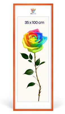 Produktbild von MG Design Bilderrahmen Orange 35x100 cm - Posterrahmen Echtholz mit Acrylglas, verstärkte Wandaufhängung, hoch/quer