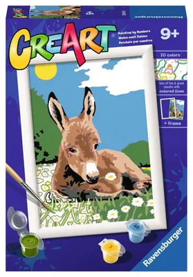 Produktbild von Ravensburger CreArt Kleiner Esel
