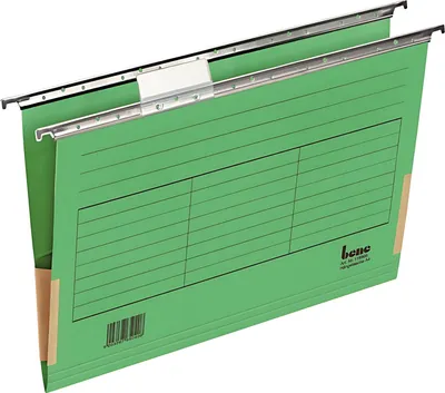 Produktbild von Hängemappe A4 mit Frosch grün 230g/qm Farbkarton, Beschriftungs-