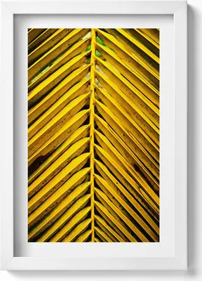 Produktbild von Goldene Blätter der Pflanze– Wandbild mit Rahmen – Gerahmtes Bild  – Wanddekoration – 20x30 cm – Weiß
