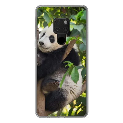 Produktbild von MuchoWow® Handyhülle Schutzhülle Hülle für Huawei P40 Lite Panda - Tier - Baum Silikon Softcase Handy Hülle - Handy