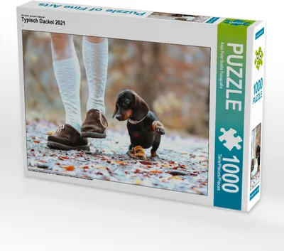 Produktbild von CALVENDO Puzzle Ein Motiv aus dem Kalender Typisch Dackel 2021 | 1000 Teile Lege-Größe 64x48cm Foto-Puzzle für glückliche Stunden