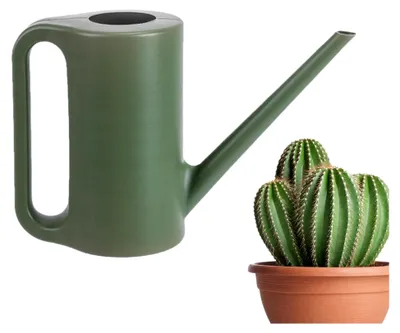 Produktbild von Kleine Gießkanne für Zimmerpflanzen mit langem Auslauf und ergonomischem Design
