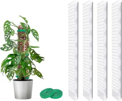 Obrázok produktu pre Podpera na rastliny Famanu pre popínavé rastliny – Stabilná a praktická – 4 kusy – 61 cm – plast