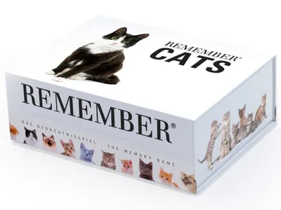 Produktbild von Remember Gedächtnisspiel Remember 44 'Cats' in der Magnetbox; MEM01