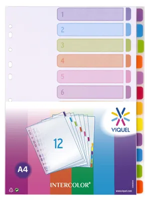 Image de Viquel, 12 intercalaires en polypropylène, format A4, gamme Intercolor