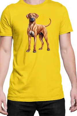 Obrázek produktu pro Pánské Tričko Dogs Breeds Rhodesian Ridgeback Dog Breed 005, Man M / Žlutá
