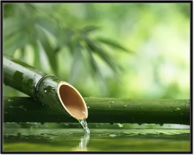 Produktbild von Wallario Wandbild Bambusquelle  Bambusrohr mit Wasser, Größe: 40,30 x 50,30 cm, Poster mit schwarzem Aluminiumrahmen