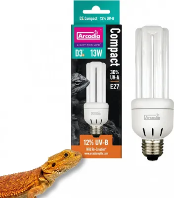 Obrázek produktu pro ARCADIA Kompaktlampe MINI Desert D3 (UVB 12%) 13W E27