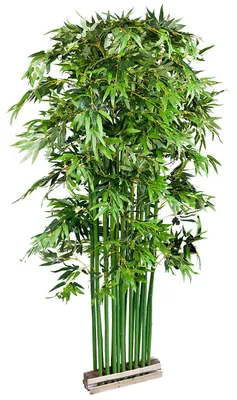 Image de Plante artificielle bambou, 200 cm de hauteur, décoration intérieure