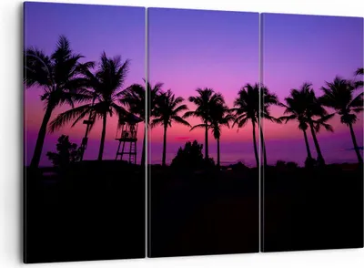 Produktbild von Bild auf Leinwand - Leinwandbild - Sonnenuntergang dämmerung sonne palme - 105x70cm - Wand Bild - Wanddeko - Leinwanddruck - Bilder - Kunstdruck - Leinwand bilder - Wandkunst - CE105x70-2788