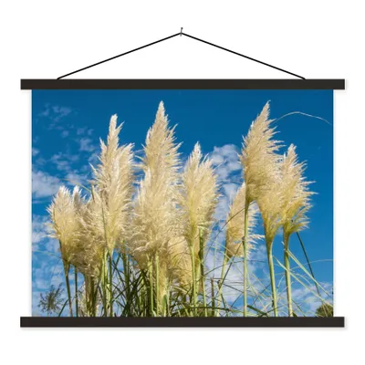 Produktbild von MuchoWow® Textilposter Pampasgras - Pflanze - Natur 60x45 cm mit schwarzem Rahmen - Poster Schlafzimmer