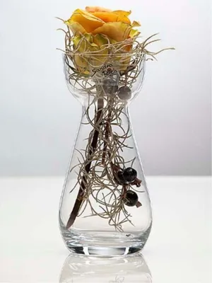Produktbild von 6er Set Glasvasen HYACINTH H. 17cm D. 7cm transparent Glas klar Sandra Rich