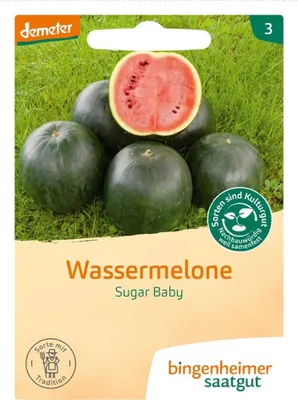 Produktbild von Wassermelone - Sugar Baby 4er Pack