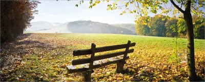 Produktbild von Wallario Poster - Idyllische Holzbank in den Bergen, Kunstdruck Größe: 80 x 200 cm