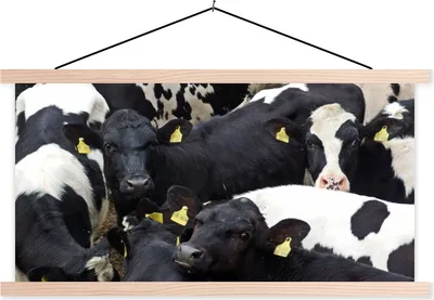 Produktbild von MuchoWow® Textilposter Kuh - Herde - Bauernhof - Tiere 120x60 cm mit holzfarbenen Rahmen - Klemmleiste