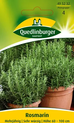 Produktbild von Rosmarin Quedlinburger Kräutersamen