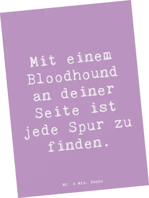 Produktbild von Mr. & Mrs. Panda Postkarte Spruch Bloodhound Spur - Lavendeltraum - Geschenk, Lebensweg, Grußkarte, Postkarten, Familienhund, Hunderassen Beschreibung, Hunderasse, finden
