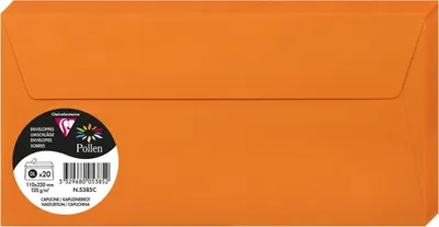 Produktbild von Clairefontaine Umschlag DL Pollen 120g kapuzinerr