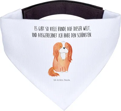 Produktbild von Mr. & Mrs. Panda Bandana Hund Cavalier King Charles Spaniel - Weiß - Geschenk, Halstuch Für Hunde, Sprüche, Spruch, Hundehalstuch, Bester, Hals Tuch, Dreieckstuch