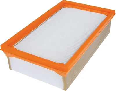 Image de Filtre plat pour aspirateur BOSCH 2607432052 - Compatible avec GAS35 H AFC