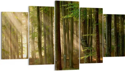 Produktbild von Bild auf Leinwand - Leinwandbild - Wald Baum Natur - 160x85cm - Wand Bild - Wanddeko - Wandbilder - Leinwanddruck - Bilder - Kunstdruck - Wanddekoration - Leinwand bilder - Wandkunst - EA160x85-3628