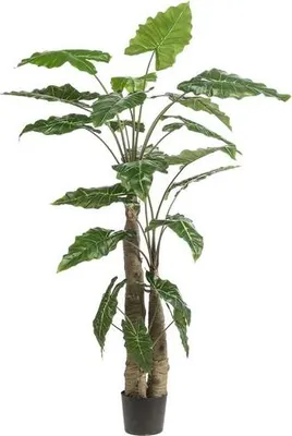Produktbild von Kunstpflanze Alocasia Elefantenohr 180cm Hochwertige künstliche Pflanze