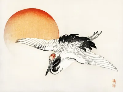 Produktbild von Plakat 40x30cm Fliegender Kranich, Kōno Bairei Japanisches Vintage für das Wohnzimmer