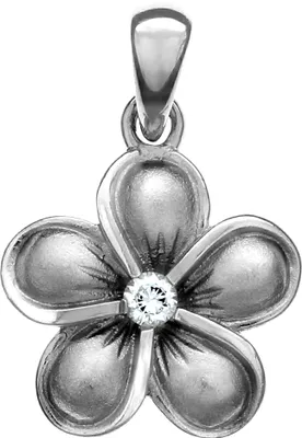Produktbild von F Anhänger 925/- Sterling Silber 2,3cm weiß Zirkonia 360241996