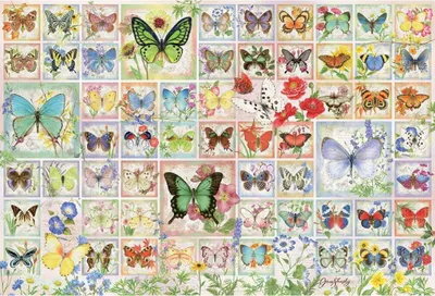 Produktbild von Cobble Hill 49011, 2000 Stück(e), Insekten