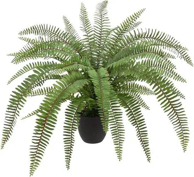 Produktbild von Lebensbaumtopf - natürlich - 1 Stück - 30 cm hoch - 70 cm breit - umweltfreundlich