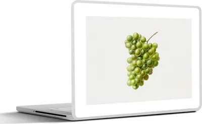 Produktbild von MuchoWow® Laptop Aufkleber Sticker Cover Weintrauben - Traube - Obst 40x30 cm - Laptop Dekoration - Selbstklebend