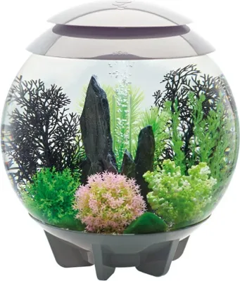 Produktbild von Oase biOrb HALO Aquarium 30 Liter LED Komplettset mit sicherer 12V Spannung grau