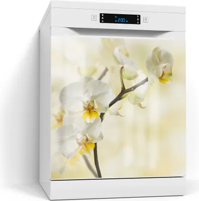 Produktbild von DEQORI Magnetmatte Spülmaschine Standard 60x60 cm 'Orchideenzauber' Magnetfolie Deko-Folie