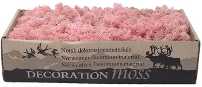 Produktbild von Karton Islandmoos Hellrosa 500g