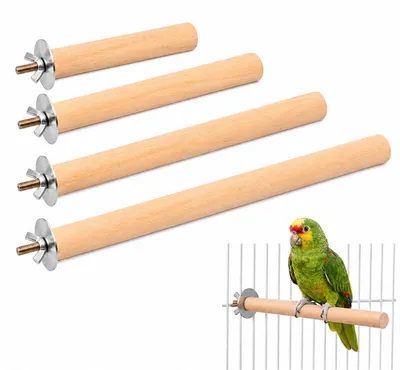 Image de Perchoirs en bois naturel pour cage de perroquets, ensemble de jouets pour oiseaux, 4 tailles différentes
