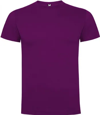 Produktbild von Roly Men´s Dogo Premium T-Shirt