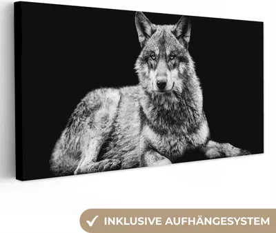 Obrázok produktu pre MuchoWow® - Plátno - Divoká zver - Vlk - Čierna - Biela, nástenný obraz, nástenné dekorácie obrazy obývacia izba, 40x20cm